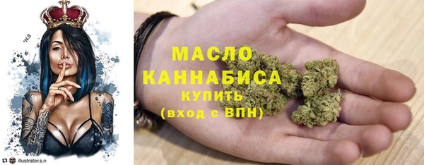 spice Богородицк