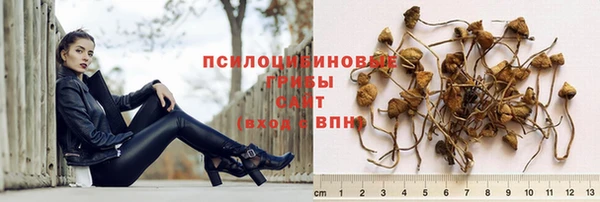 марки nbome Богданович
