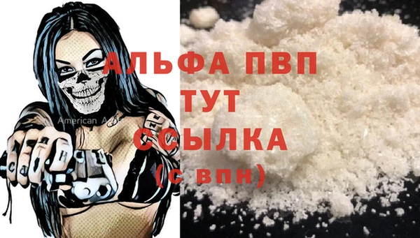 spice Богородицк